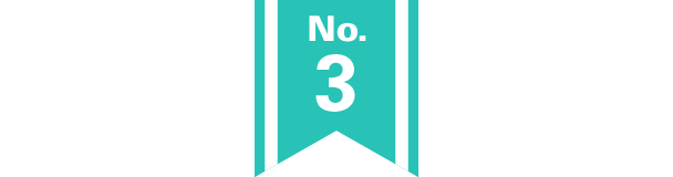 NO3